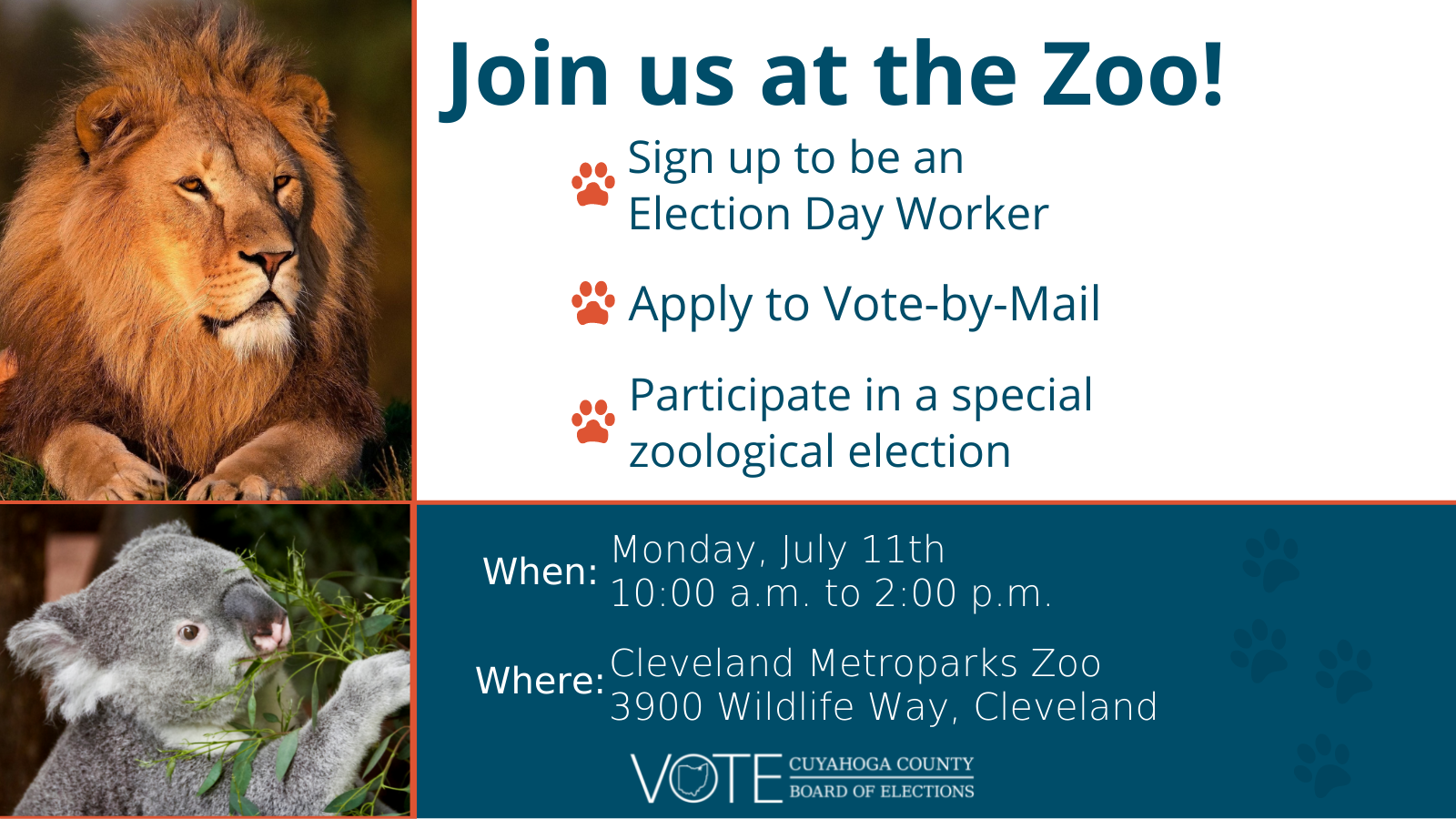 Join us at the zoo!
